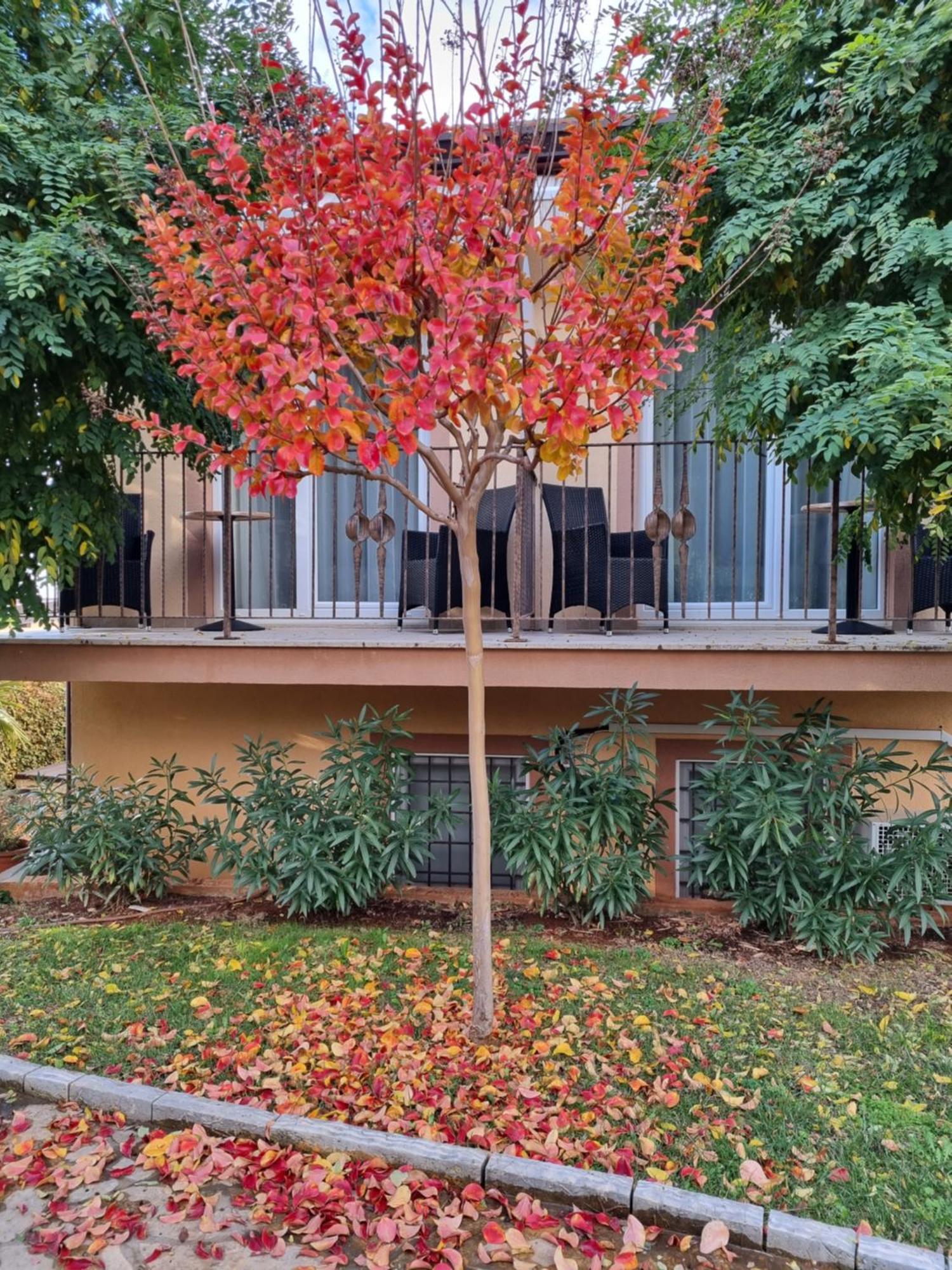 Hotel Zlatna Vala Umag Exterior photo